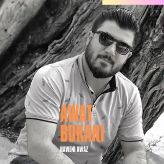 هەوێنی ئاواز